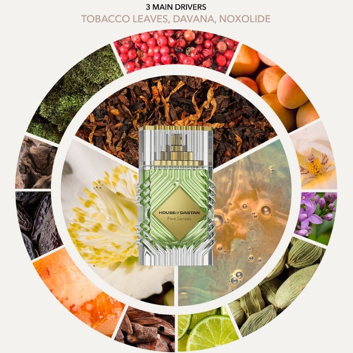 Five Senses 3.4oz House Of Dastan Extrait - Pertinacia Perfume